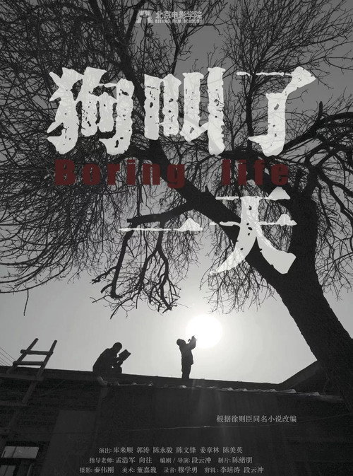 Movie poster for Boring Life (2019)
