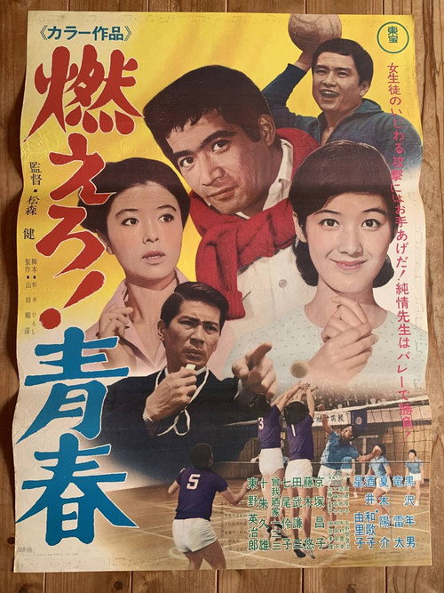 Movie poster for The Flame of Youth (1968)