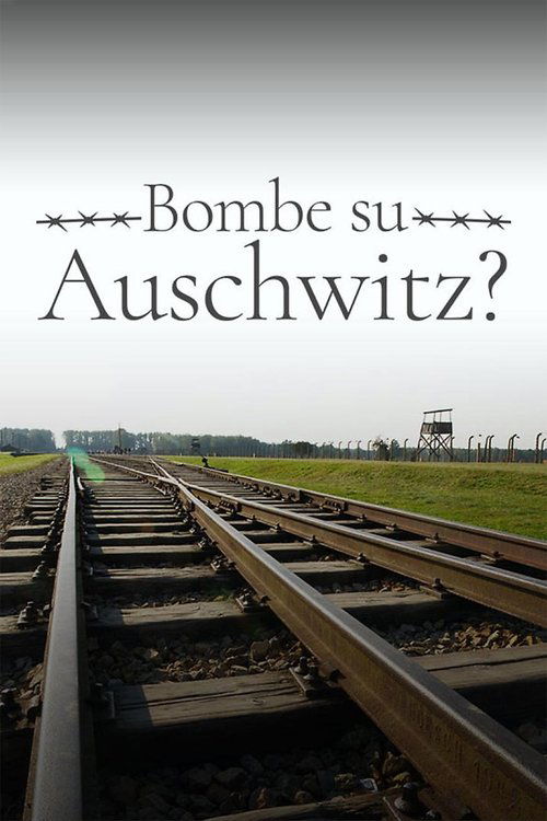 Movie poster for 1944: Should We Bomb Auschwitz? (2019)