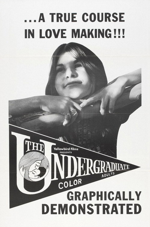 Movie poster for The Undergraduate (1971)