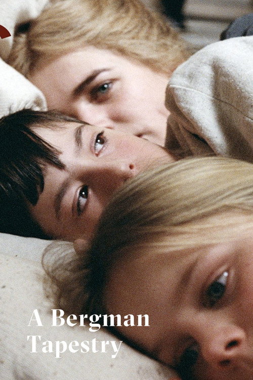 Movie poster for Fanny & Alexander: A Bergman Tapestry (2004)