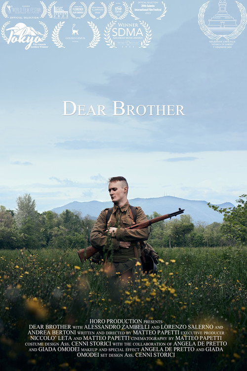 Movie poster for Dear Brother (2023)