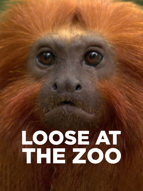 Movie poster for Loose at the Zoo (2007)