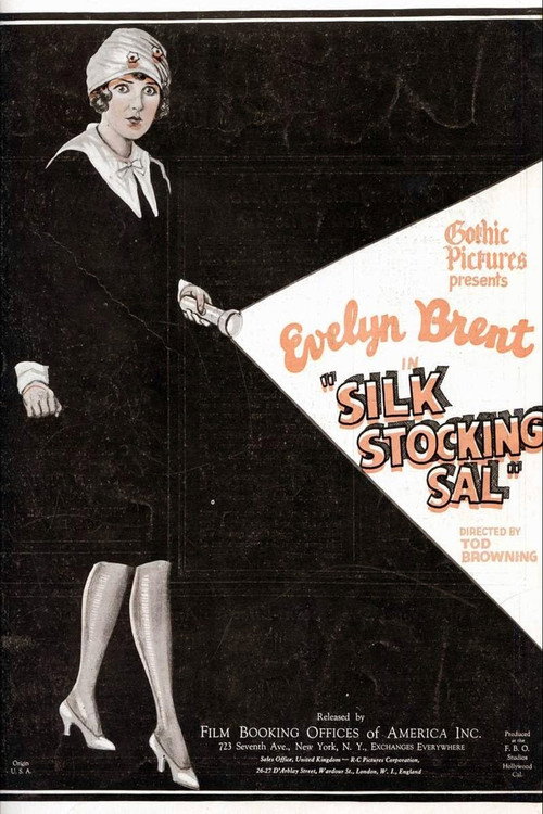 Movie poster for Silk Stocking Sal (1924)