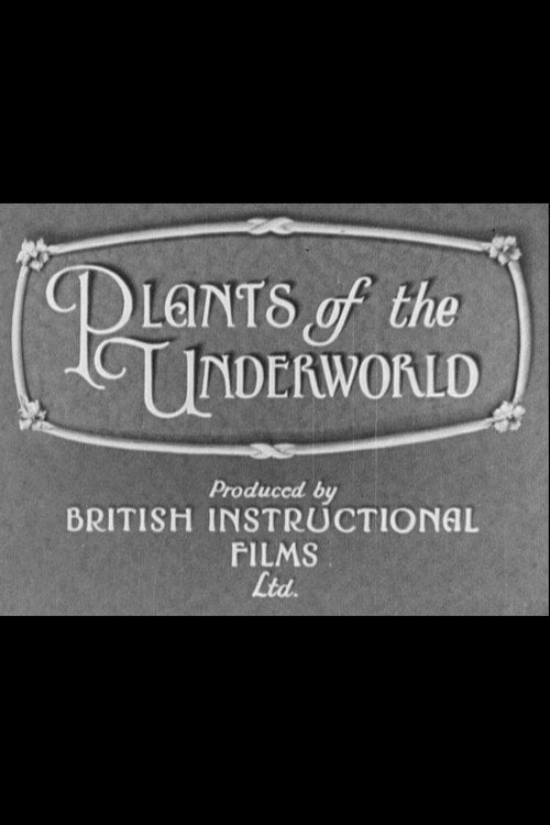 Movie poster for Plants of the Underworld (1930)