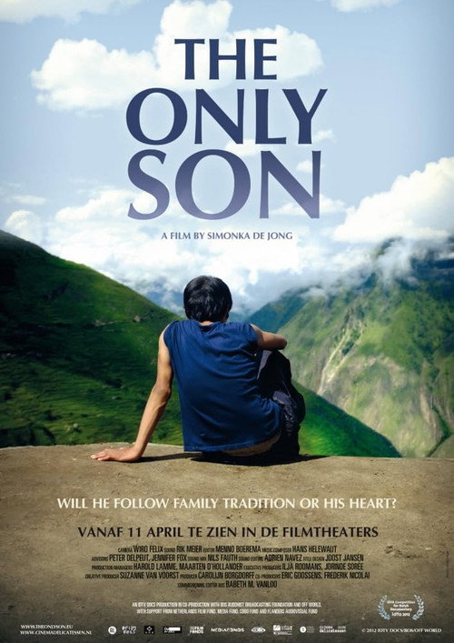 Movie poster for The Only Son (2013)