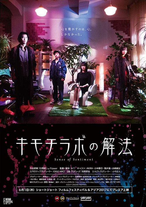 Movie poster for Sense of Sentiment (2018)