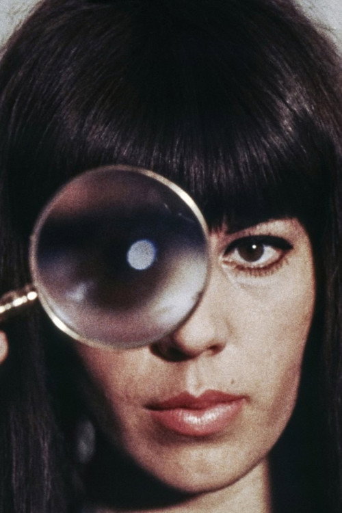 Movie poster for The Portrait (1966)