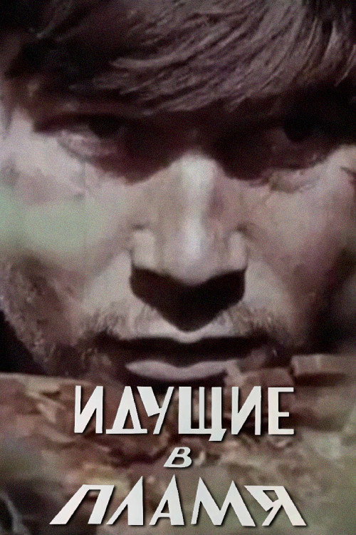 Movie poster for Those Who Walk Into the Flames (1973)