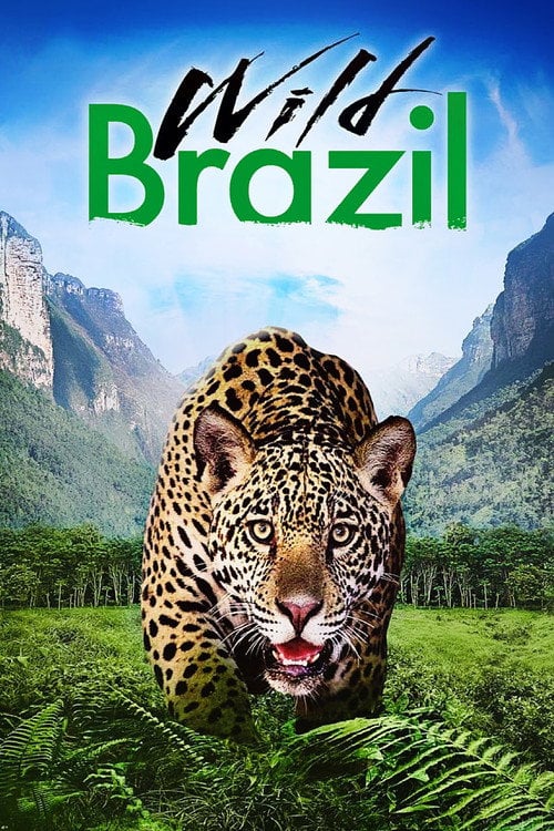 Movie poster for Wild Brazil (2014)