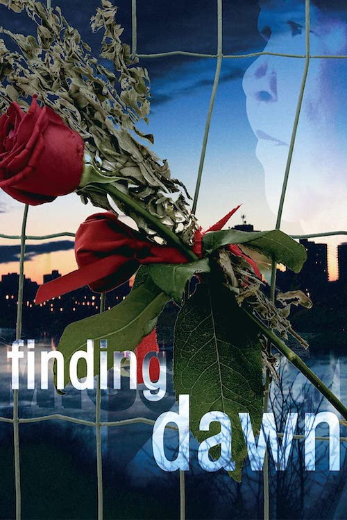 Movie poster for Finding Dawn (2006)