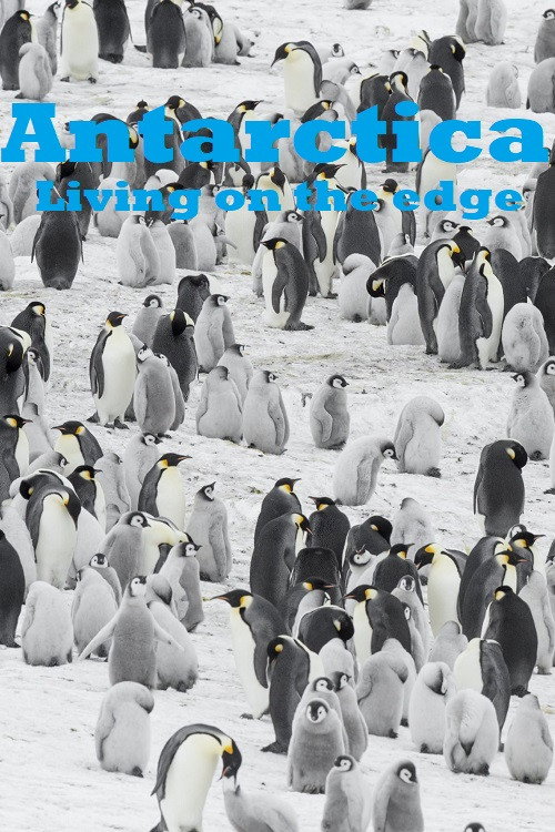 Movie poster for Antarctica - Living on the edge (2016)