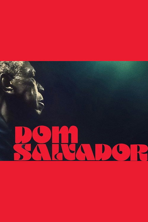 Movie poster for Dom Salvador & The Abolition (2020)