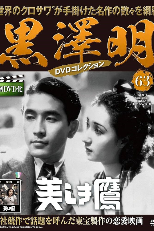 Movie poster for The Beautiful Hawk (1937)