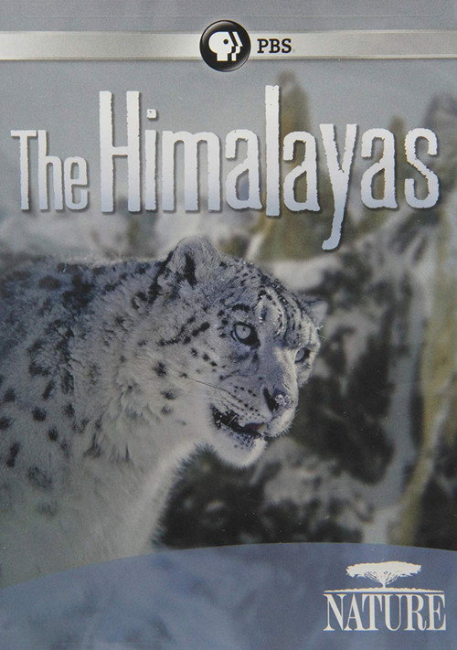 Movie poster for The Himalayas (2011)