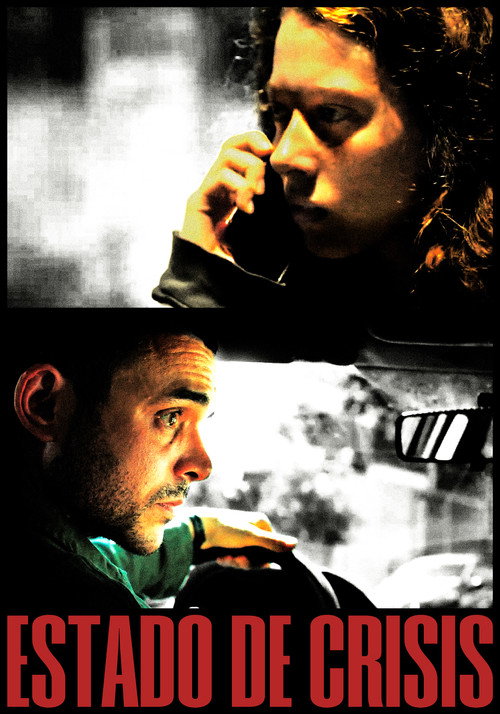 Movie poster for State of Crisis