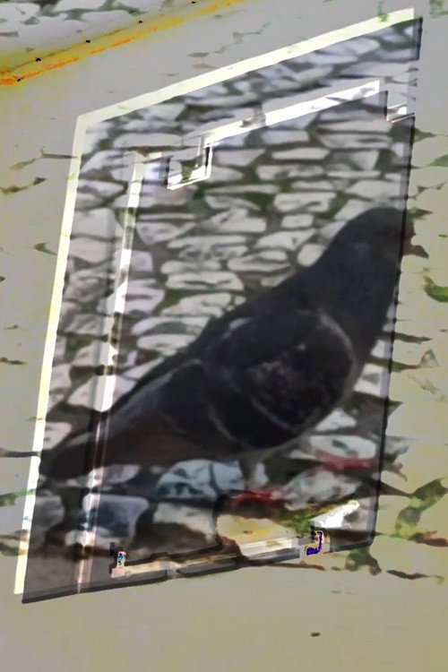 Movie poster for não tenho dormido muito mas continuo sonhando a cada piscada (2024)