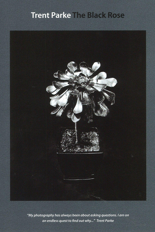 Movie poster for Trent Parke: The Black Rose (2015)