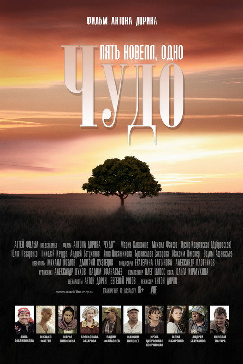 Movie poster for Miracle (2013)