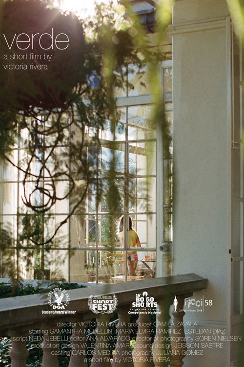 Movie poster for Verde (2017)