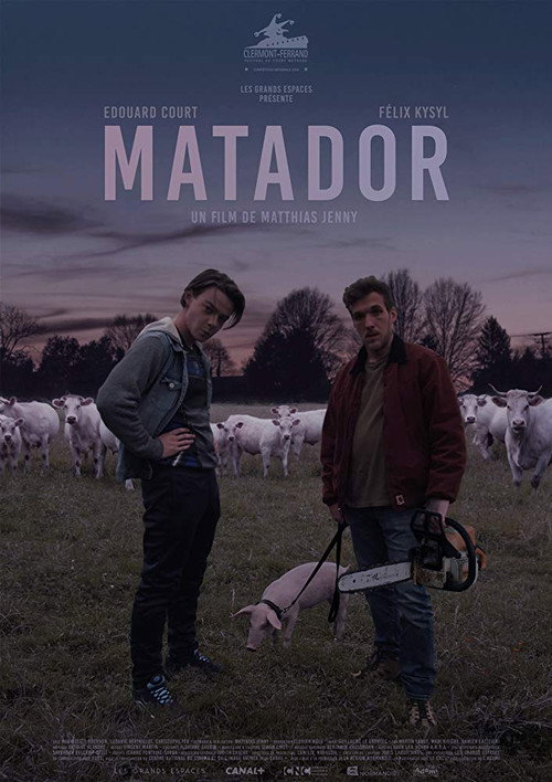 Movie poster for Matador