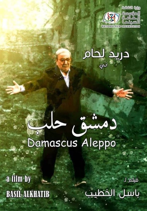 Movie poster for Damascus... Aleppo (2019)