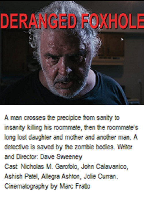 Movie poster for Deranged Foxhole Deduction (2019)