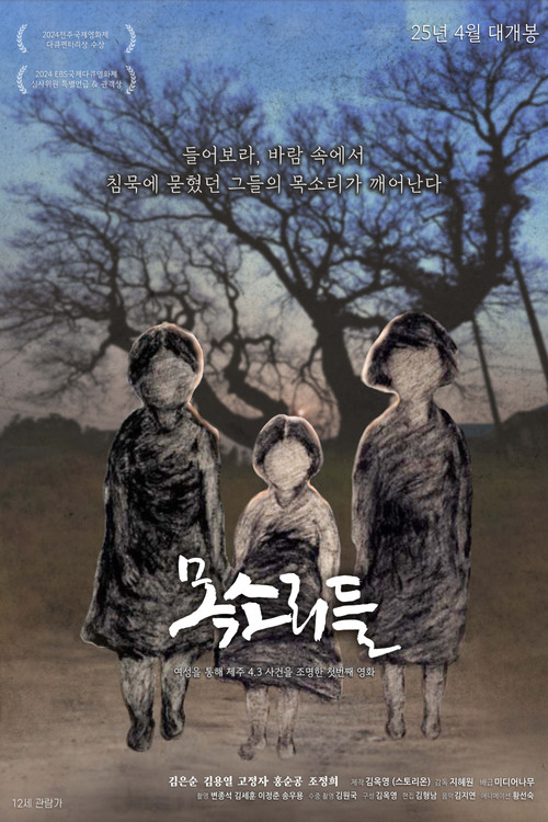 Movie poster for Voices (2025)