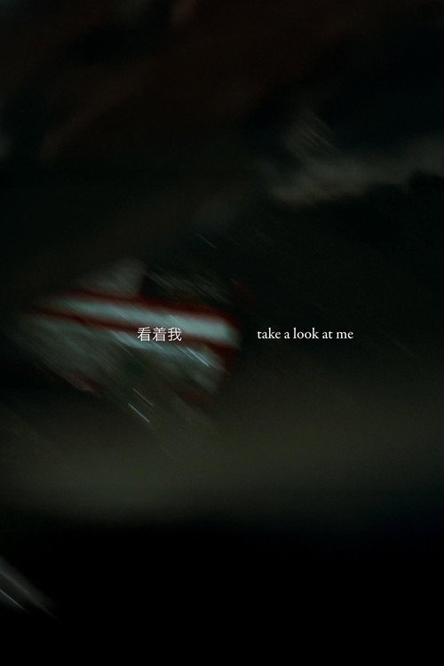 Movie poster for Take a Look at Me (2025)