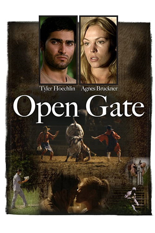 Movie poster for Open Gate (2011)