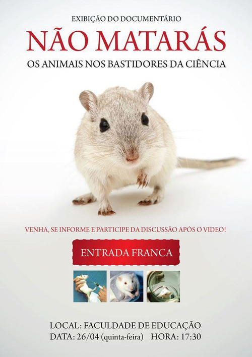 Movie poster for Não Matarás (2006)