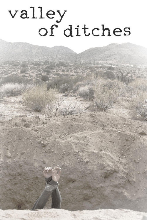 Movie poster for Valley of Ditches (2017)