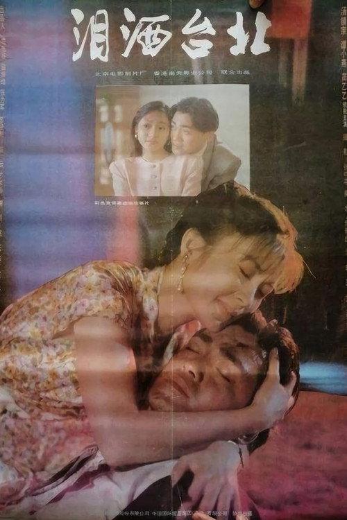 Movie poster for 泪洒台北 (1993)