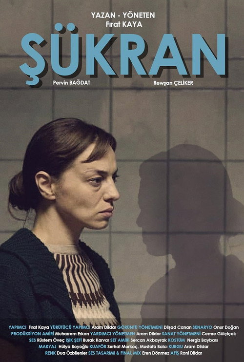 Movie poster for Şükran (2019)