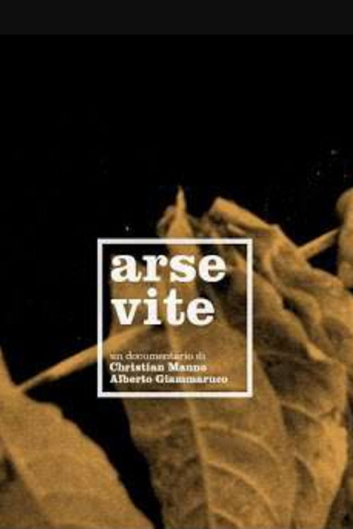 Movie poster for Arse Vite
