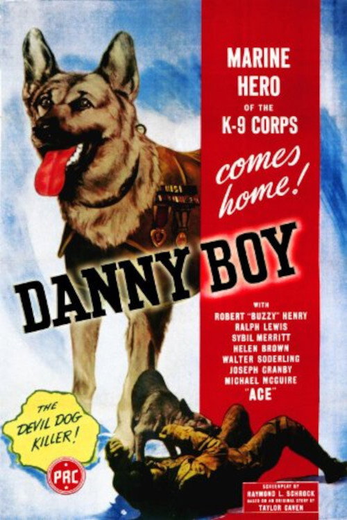 Movie poster for Danny Boy (1945)