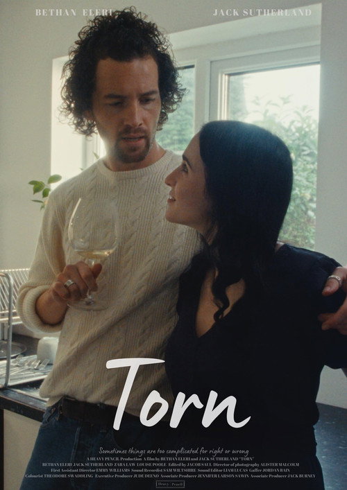Movie poster for Torn