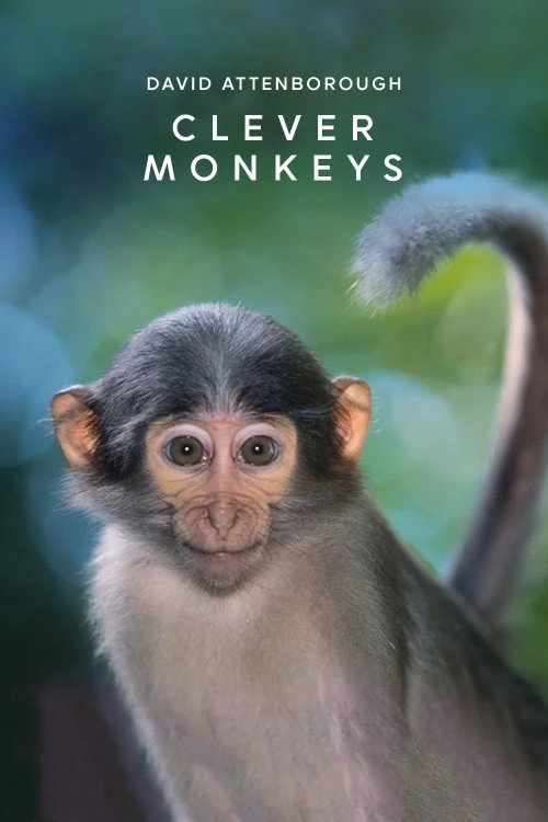 Movie poster for Clever Monkeys (2008)