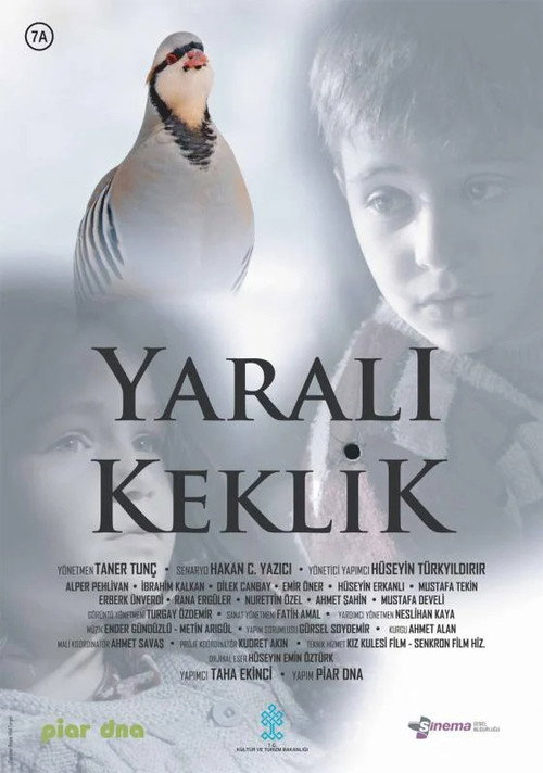 Movie poster for Yaralı Keklik (2019)