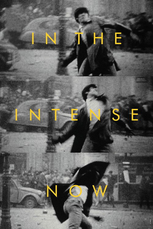 Movie poster for In the Intense Now (2017)