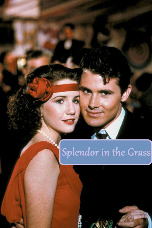 Movie poster for Splendor in the Grass (1981)