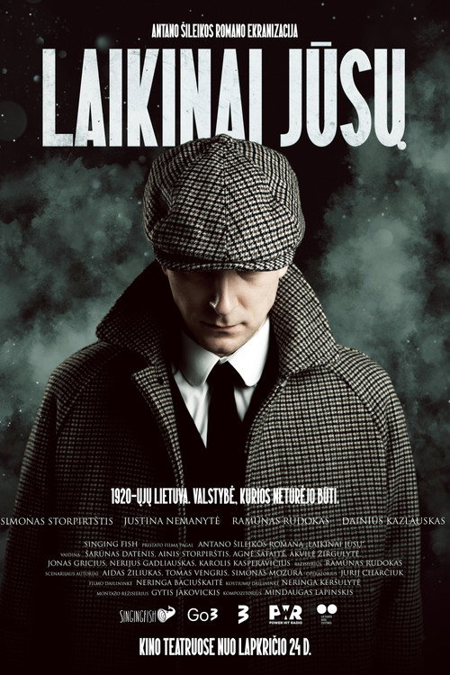 Movie poster for Provisionally Yours (2023)
