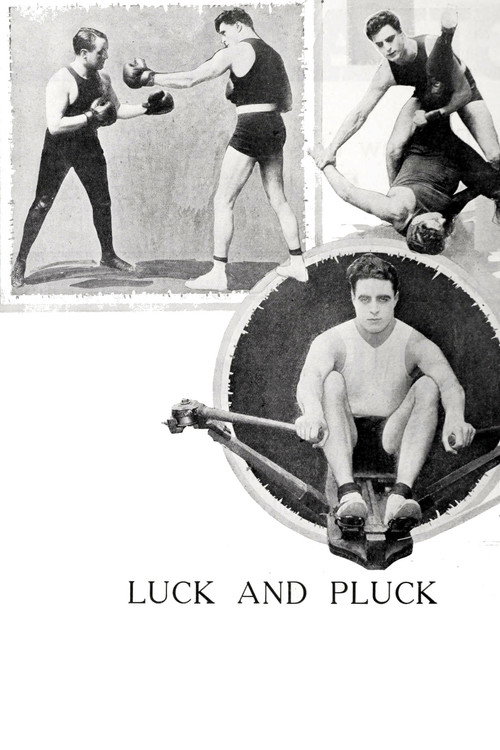 Movie poster for Luck and Pluck (1919)