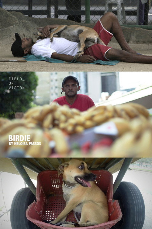 Movie poster for Birdie (2015)
