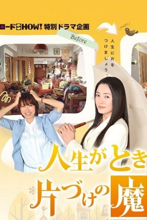 Movie poster for The Life-Changing Magic of Tidying Up (2013)