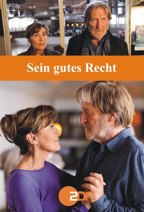Movie poster for Sein gutes Recht (2015)