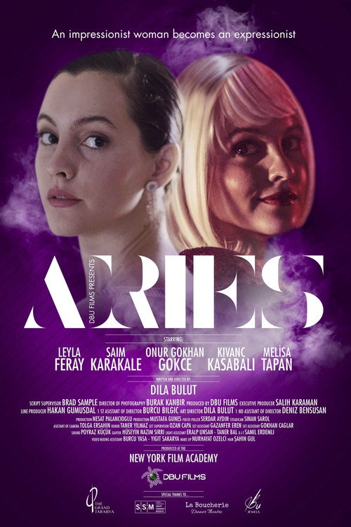 Movie poster for Aries (2019)