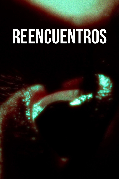 Movie poster for Reencuentros