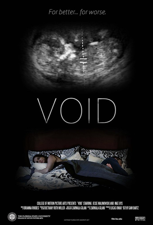Movie poster for Void