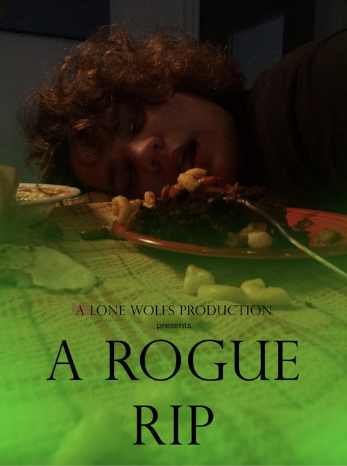 Movie poster for A Rogue Rip